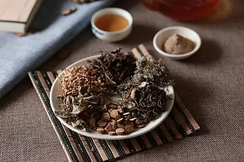 蛔虫性肠梗阻中药方剂